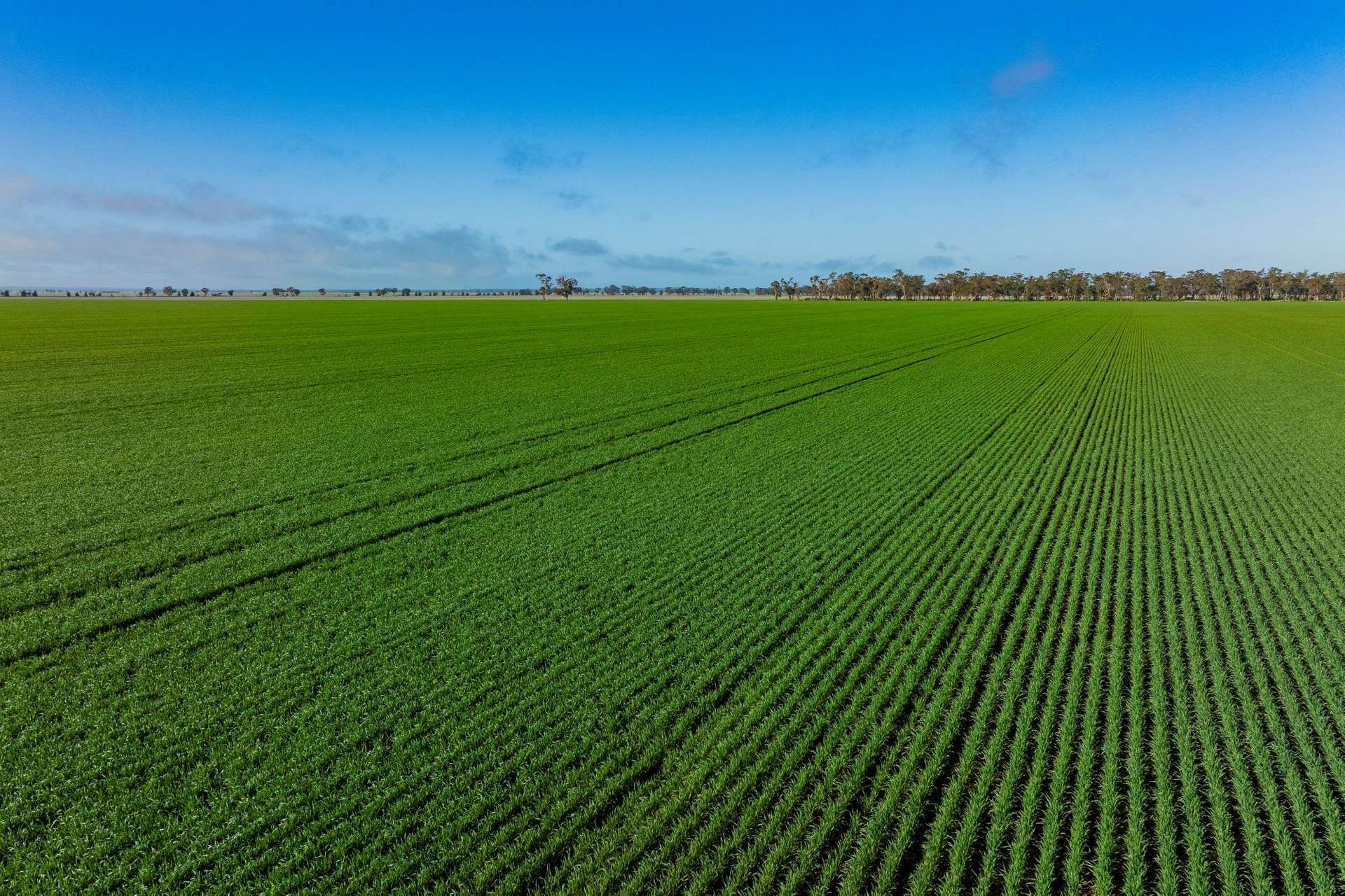 Barmedman For Sale by Farmbuy.com - image 20