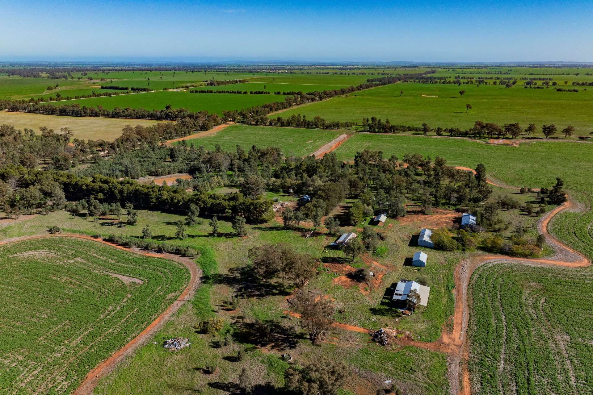 Barmedman For Sale by Farmbuy.com - image 21