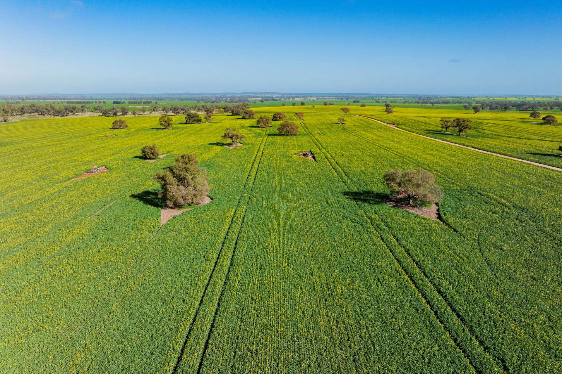 Barmedman For Sale by Farmbuy.com - image 11