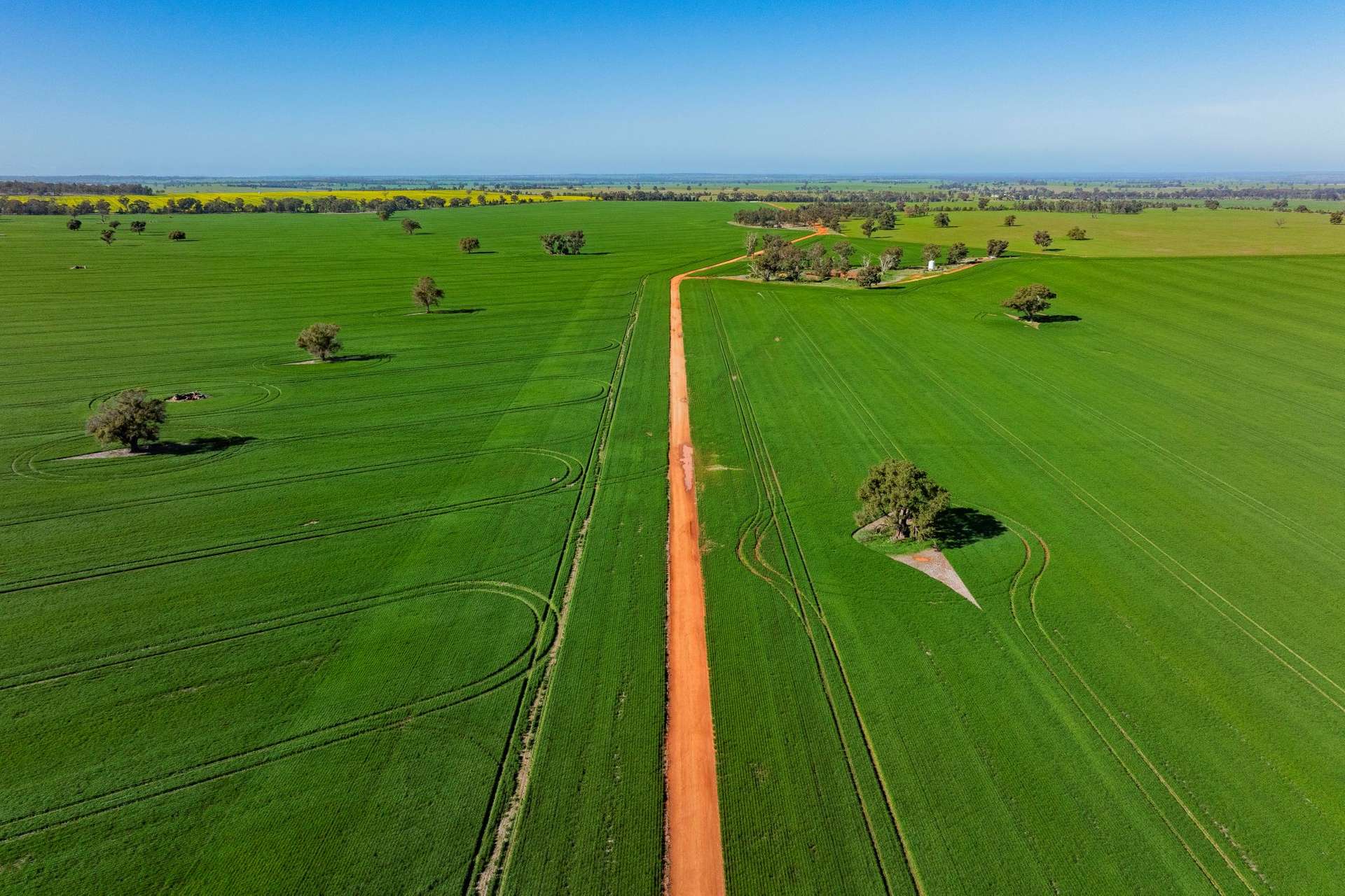 Barmedman For Sale by Farmbuy.com - image 23