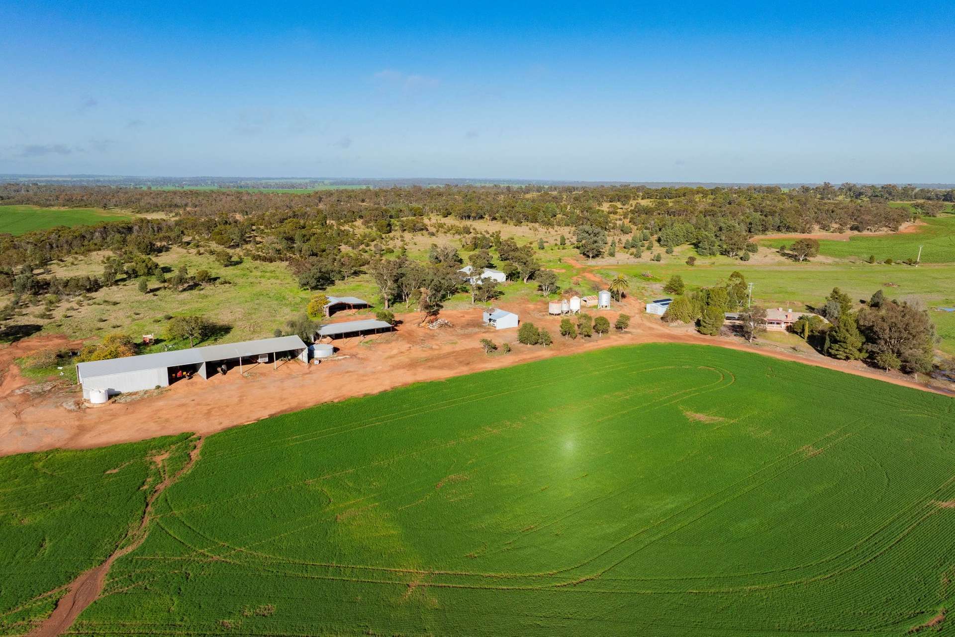 Barmedman For Sale by Farmbuy.com - image 13