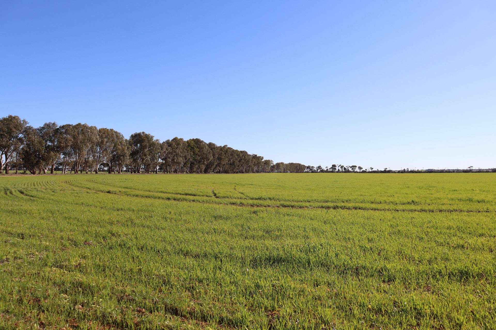 1742 Arthur Road, Moonyoonooka For Sale by Farmbuy.com - image 6