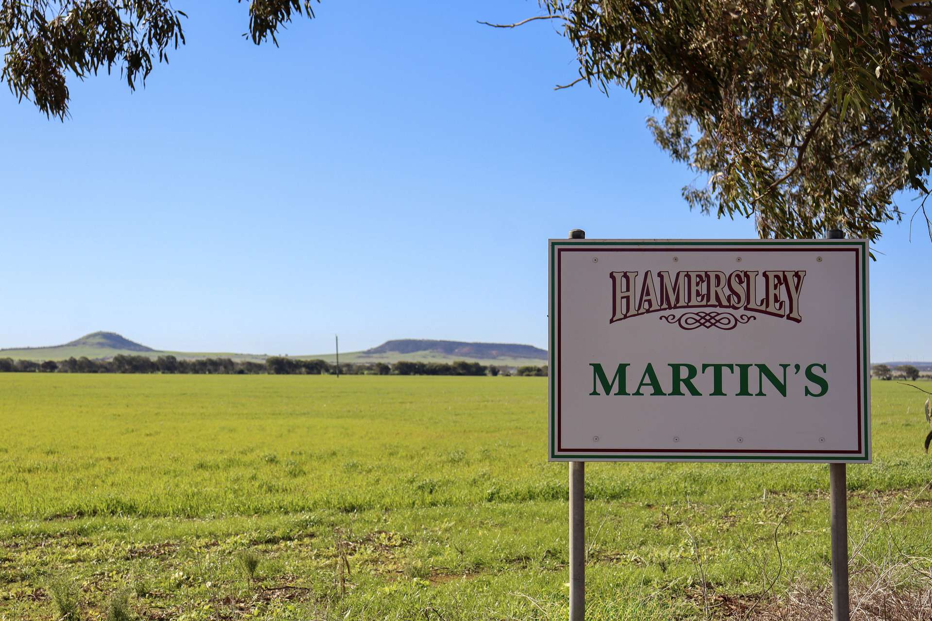 1742 Arthur Road, Moonyoonooka For Sale by Farmbuy.com - image 4