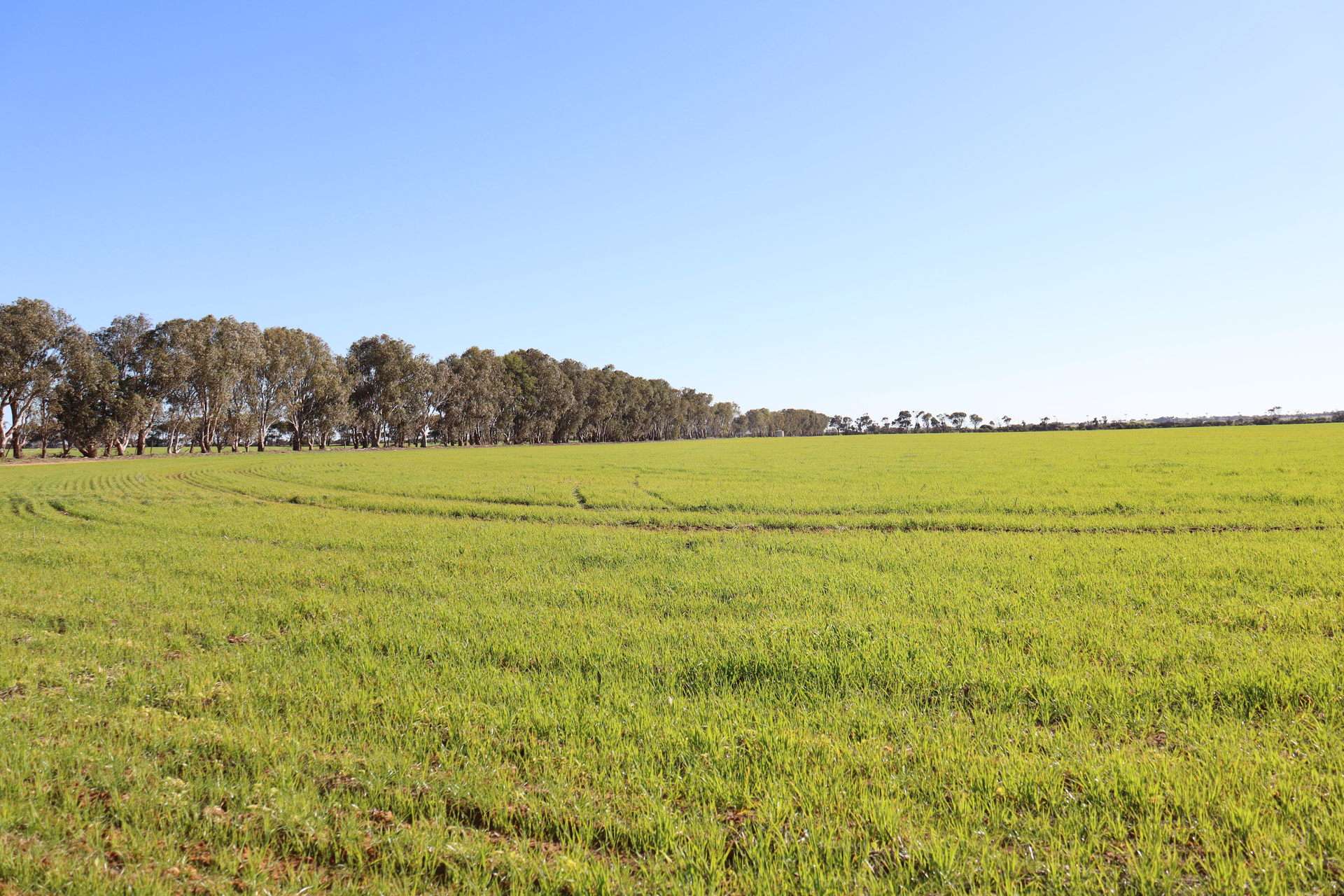 1742 Arthur Road, Moonyoonooka For Sale by Farmbuy.com - image 8
