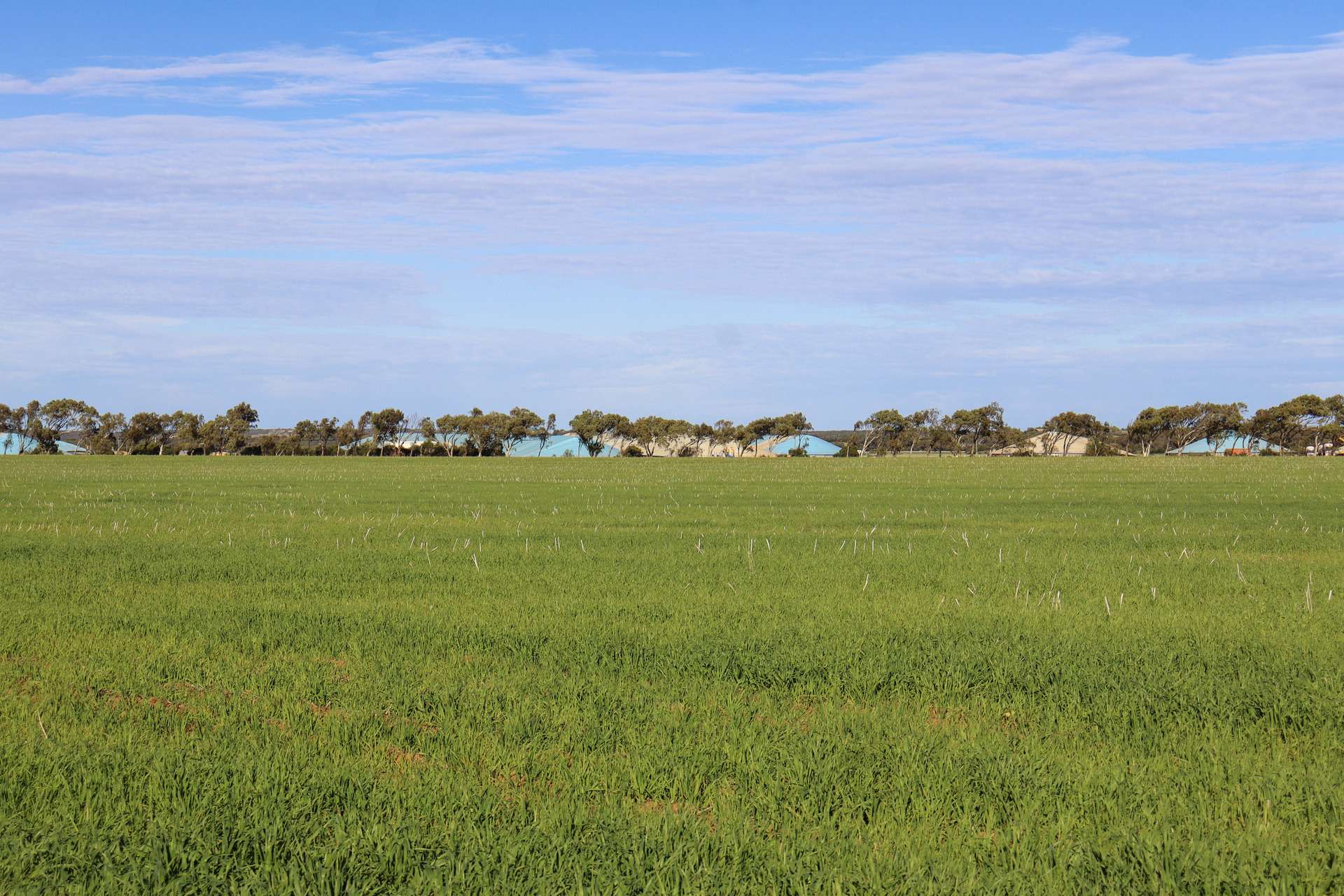1742 Arthur Road, Moonyoonooka For Sale by Farmbuy.com - image 14