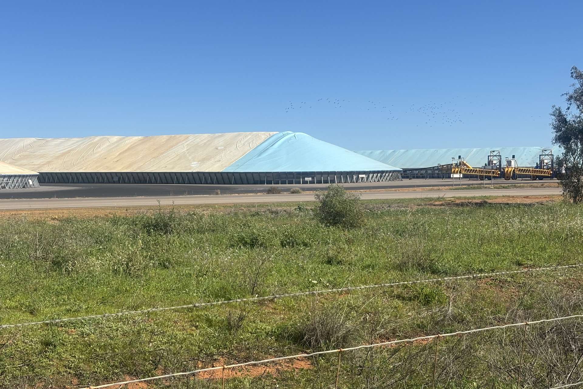 1742 Arthur Road, Moonyoonooka For Sale by Farmbuy.com - image 26