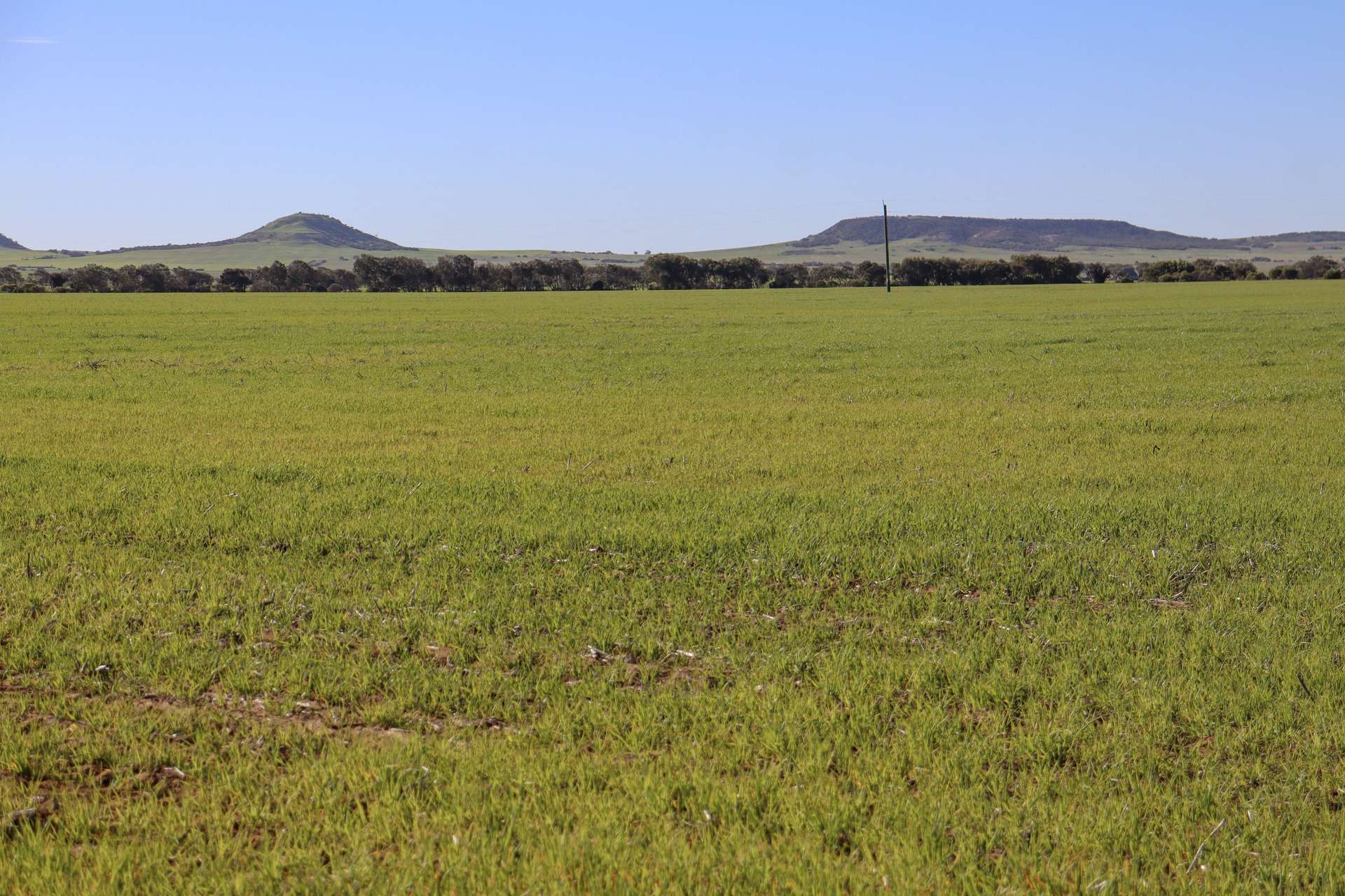 1742 Arthur Road, Moonyoonooka For Sale by Farmbuy.com - image 20