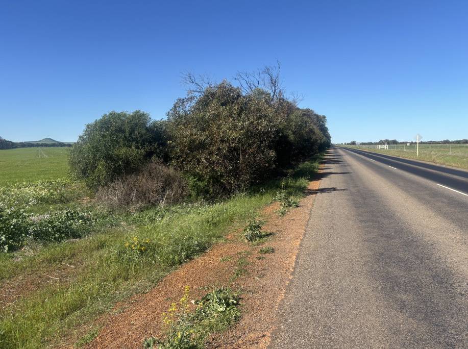 1742 Arthur Road, Moonyoonooka For Sale by Farmbuy.com - image 7