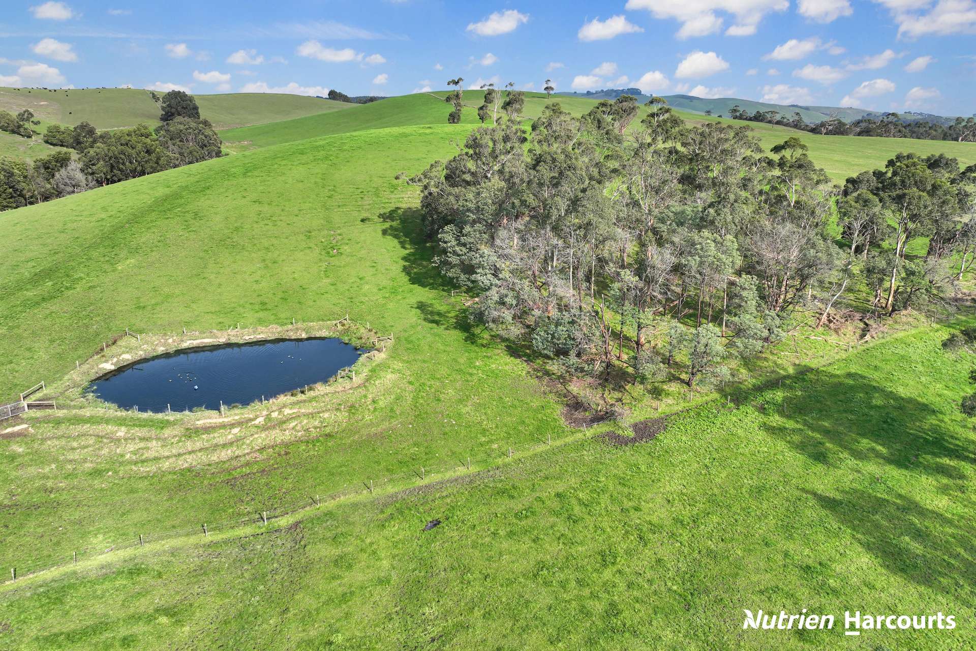 80 Suckling Road, Kernot For Sale by Farmbuy.com - image 25