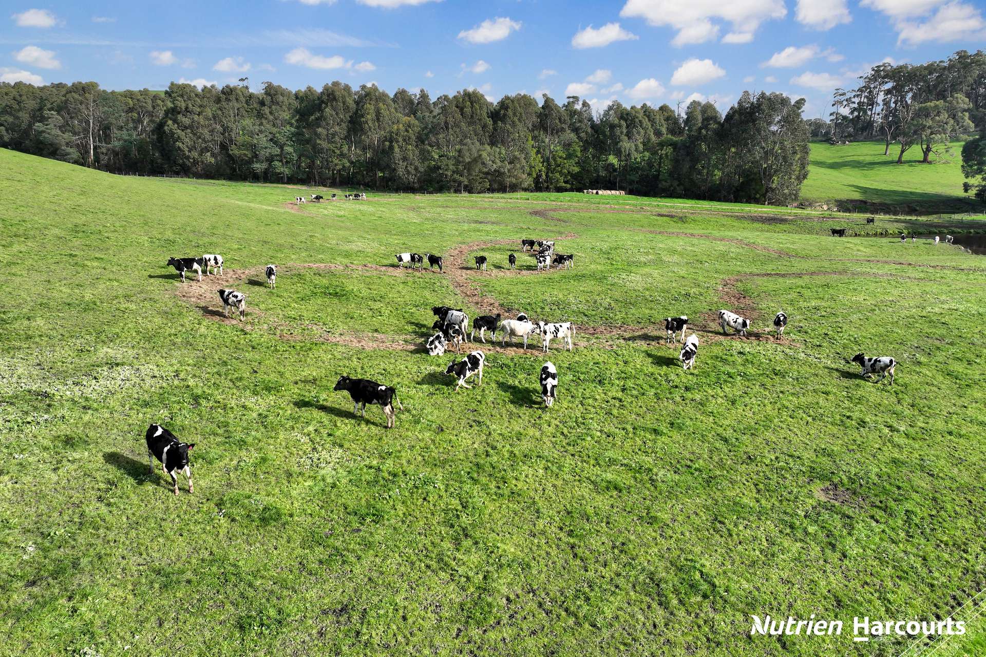 80 Suckling Road, Kernot For Sale by Farmbuy.com - image 5
