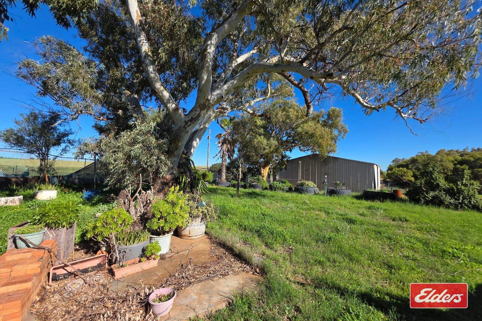 100 Johnson Road, Alma For Sale by Farmbuy.com - image 19