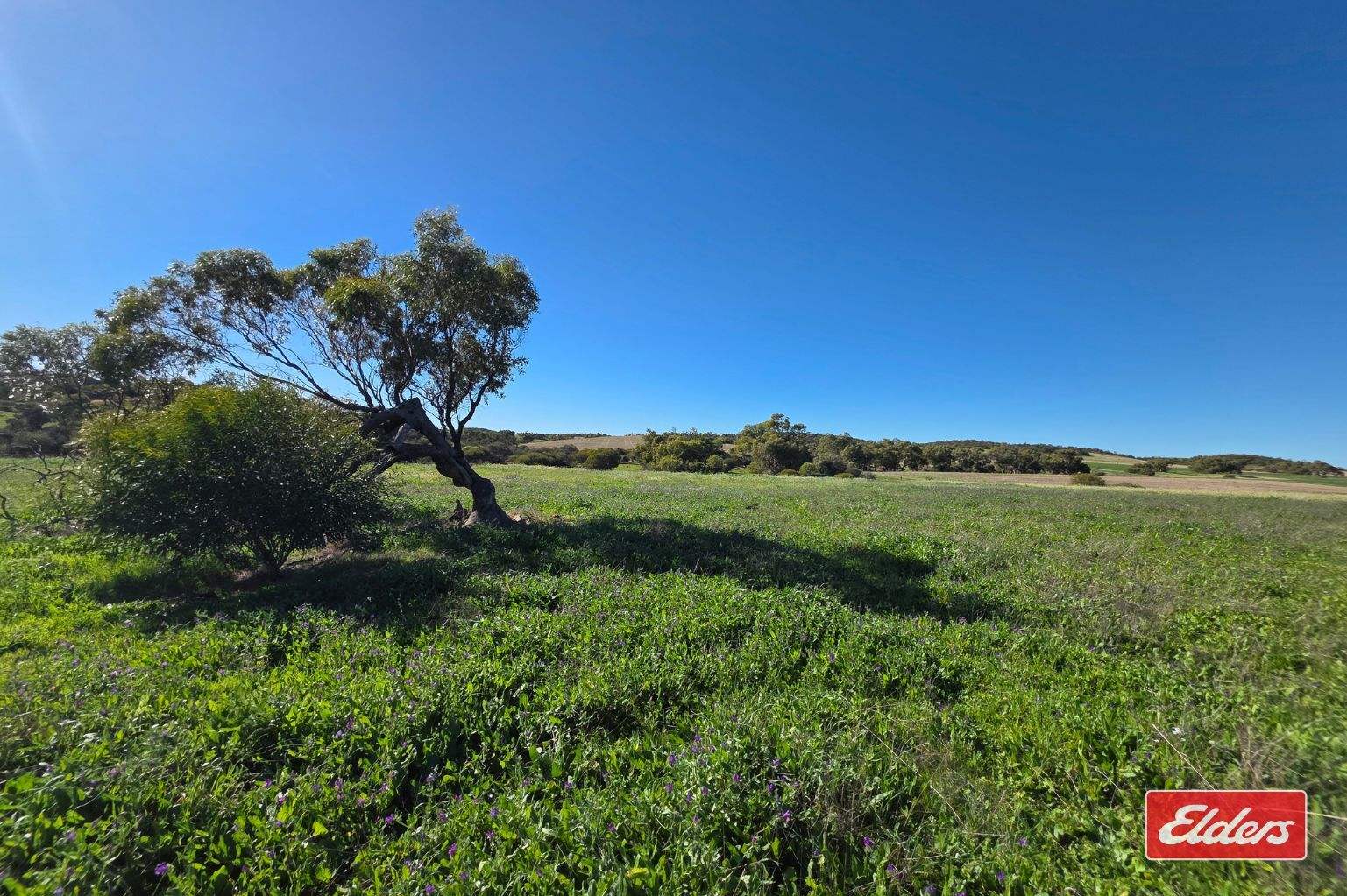100 Johnson Road, Alma For Sale by Farmbuy.com - image 25