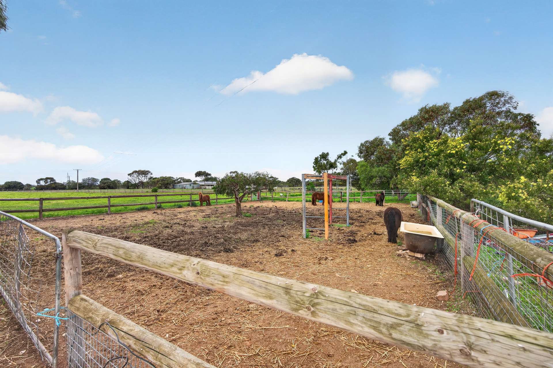 1164 Milang Road, Milang For Sale by Farmbuy.com - image 26