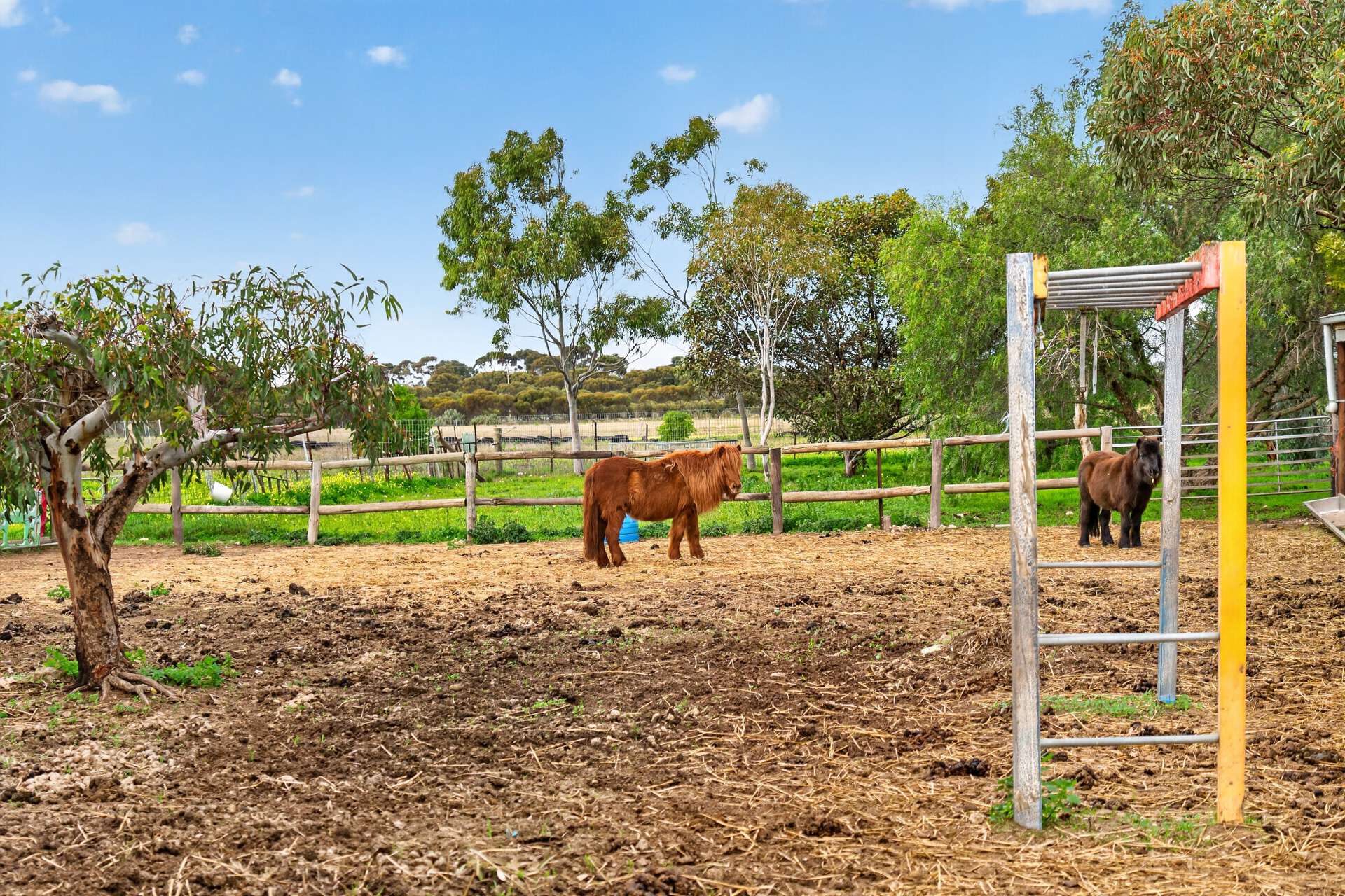 1164 Milang Road, Milang For Sale by Farmbuy.com - image 29