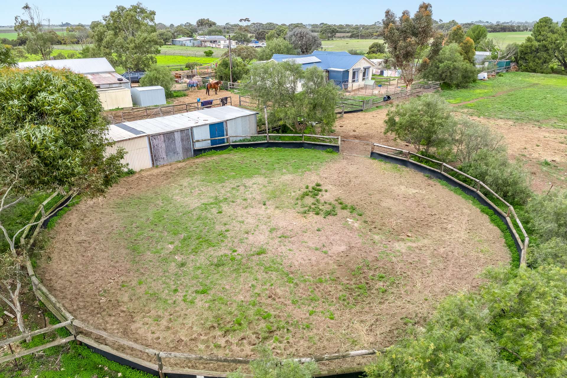 1164 Milang Road, Milang For Sale by Farmbuy.com - image 4