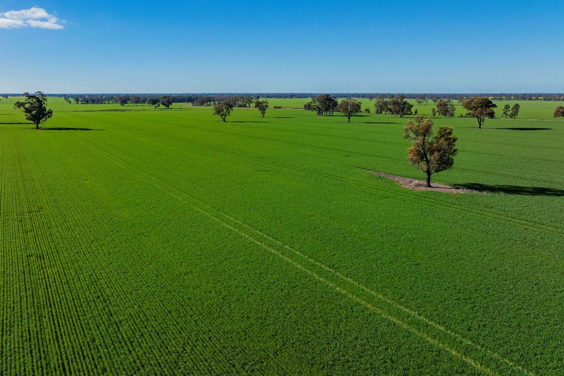 90 Kilnyana Road, Savernake For Sale by Farmbuy.com - image 5