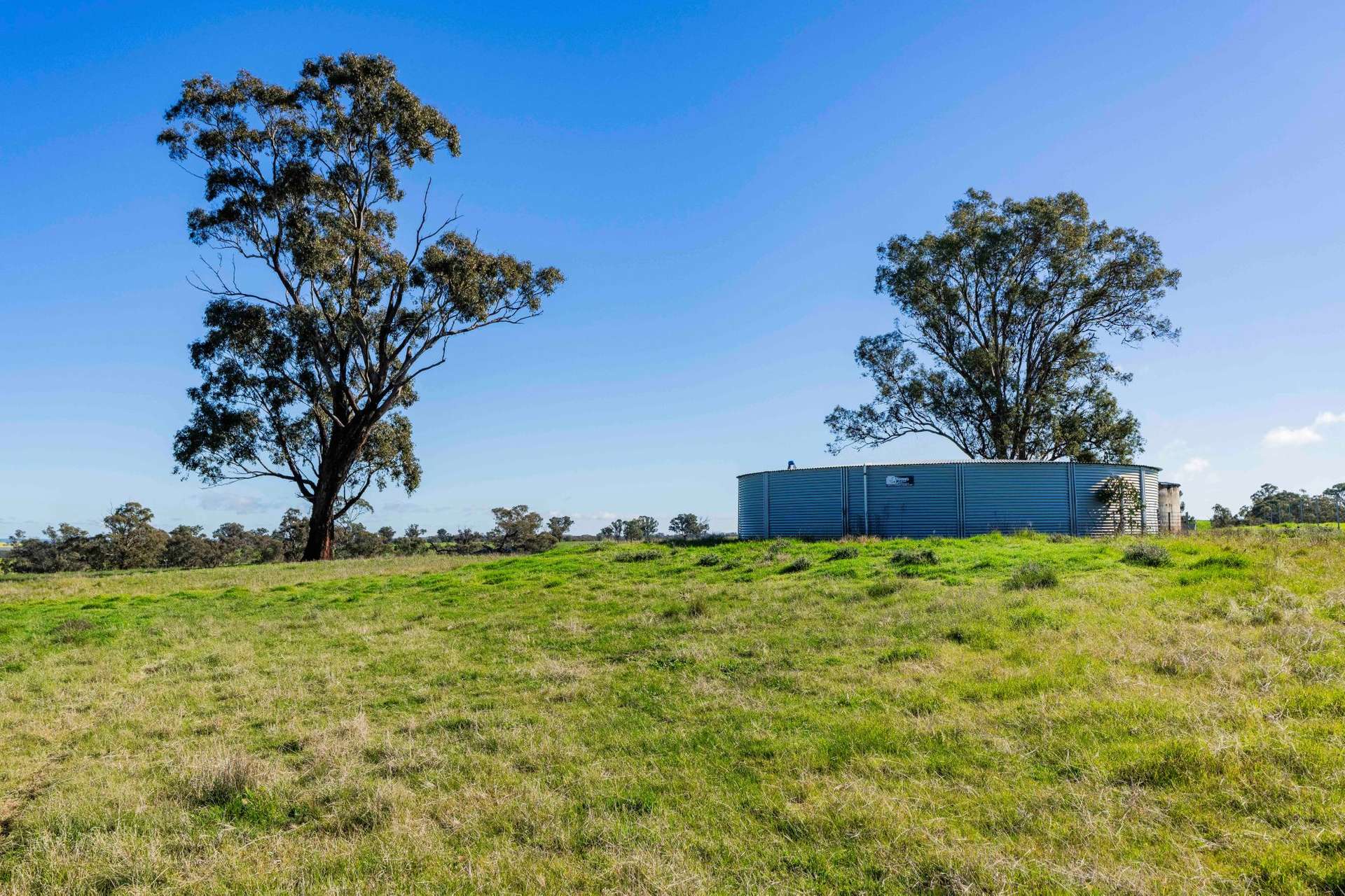 90 Kilnyana Road, Savernake For Sale by Farmbuy.com - image 18