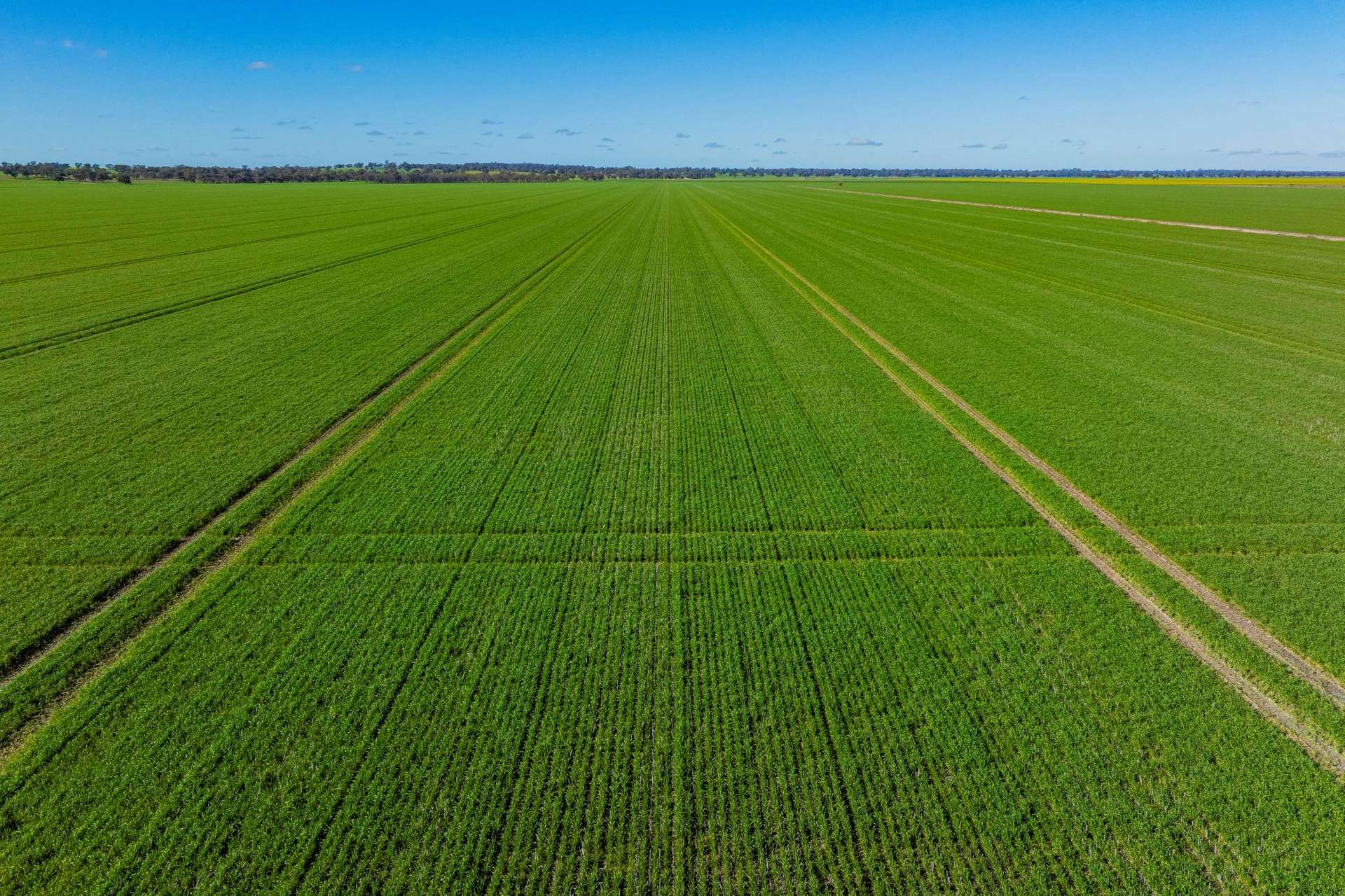 90 Kilnyana Road, Savernake For Sale by Farmbuy.com - image 1