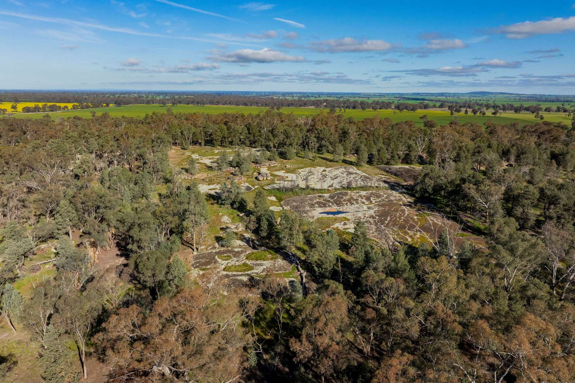 90 Kilnyana Road, Savernake For Sale by Farmbuy.com - image 20