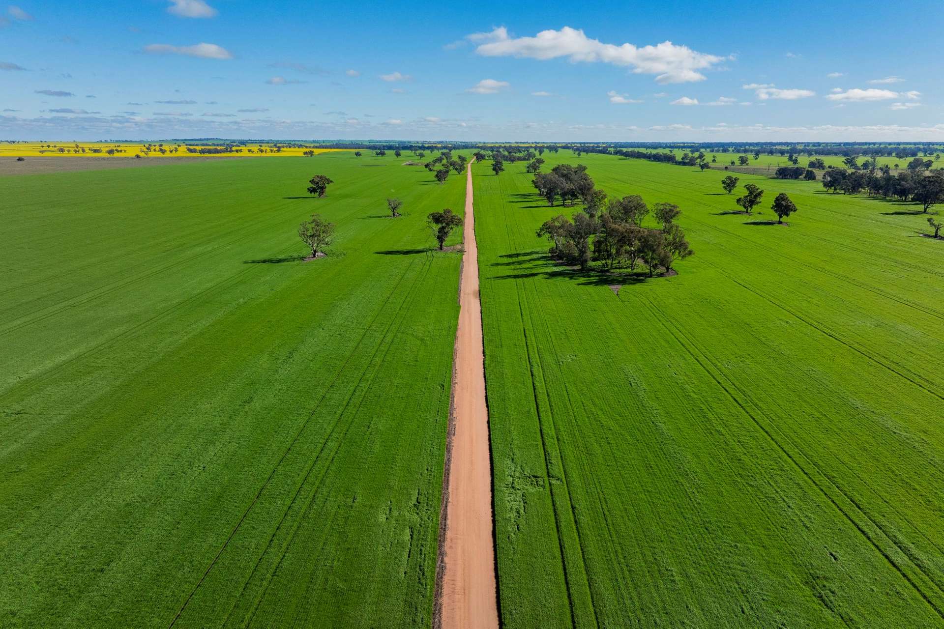 90 Kilnyana Road, Savernake For Sale by Farmbuy.com - image 6