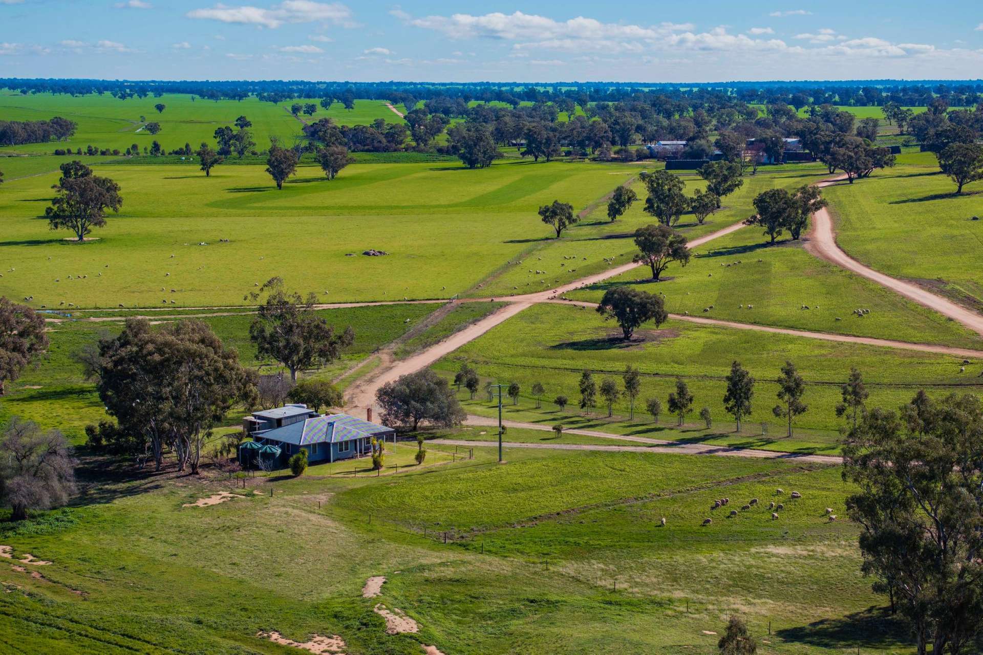 90 Kilnyana Road, Savernake For Sale by Farmbuy.com - image 11