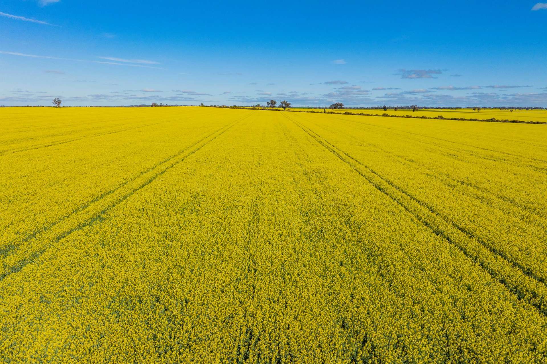90 Kilnyana Road, Savernake For Sale by Farmbuy.com - image 3