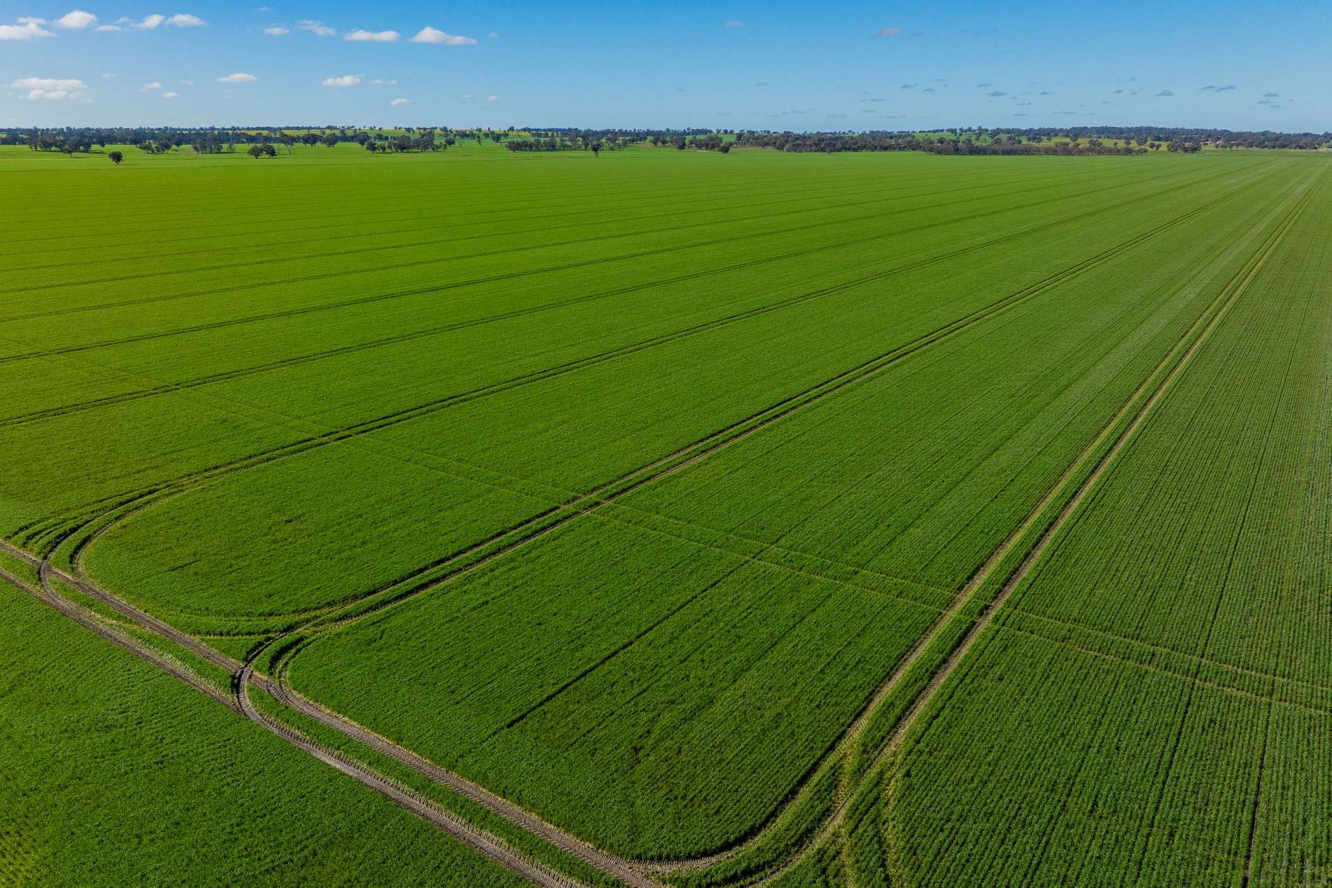90 Kilnyana Road, Savernake For Sale by Farmbuy.com - image 2