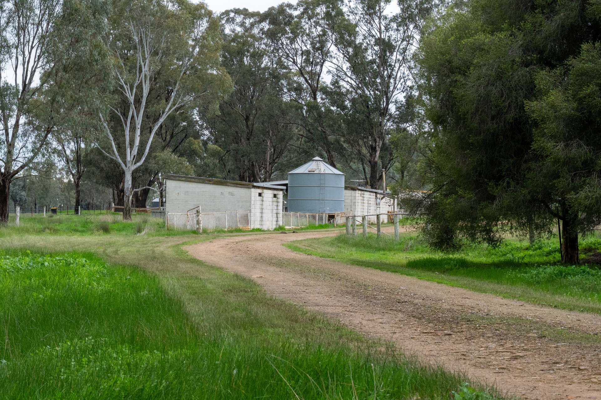 437 Webb Road, Goomalibee For Sale by Farmbuy.com - image 19