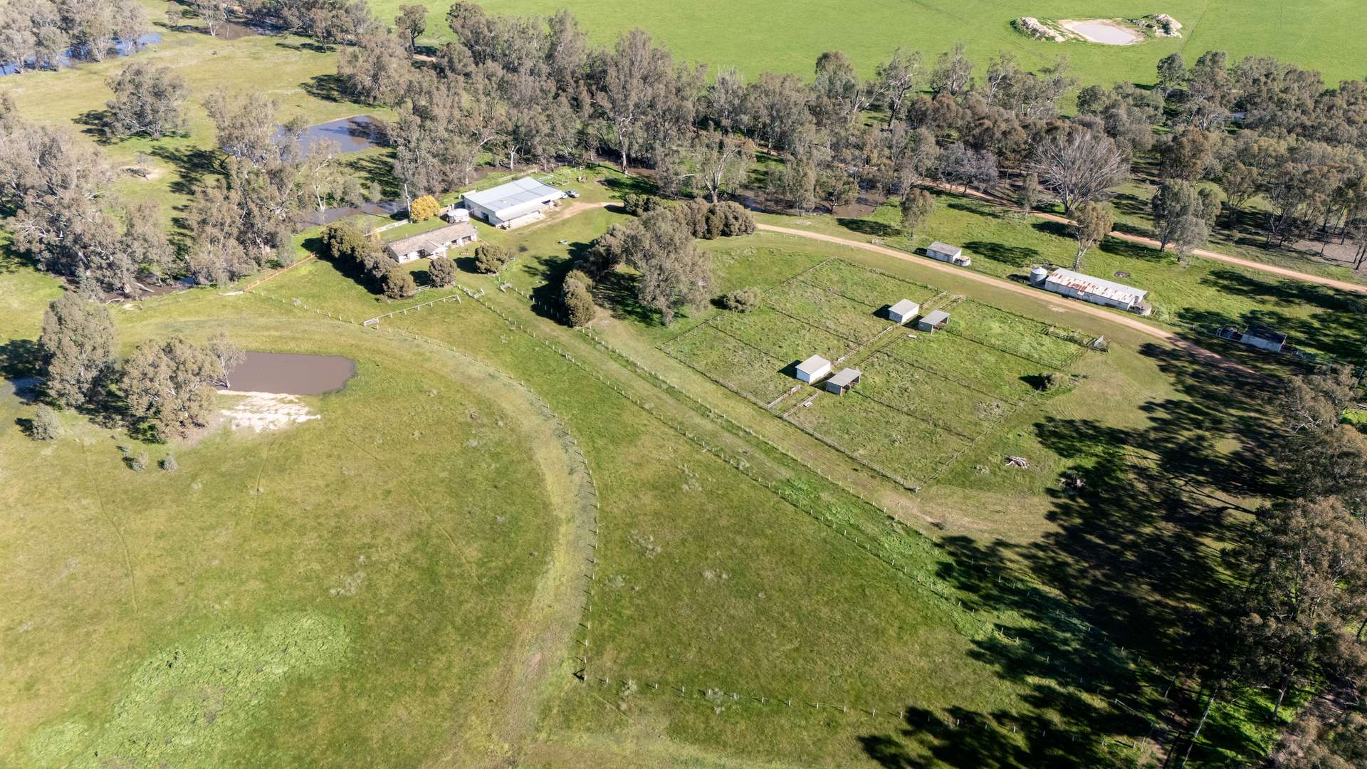 437 Webb Road, Goomalibee For Sale by Farmbuy.com - image 4