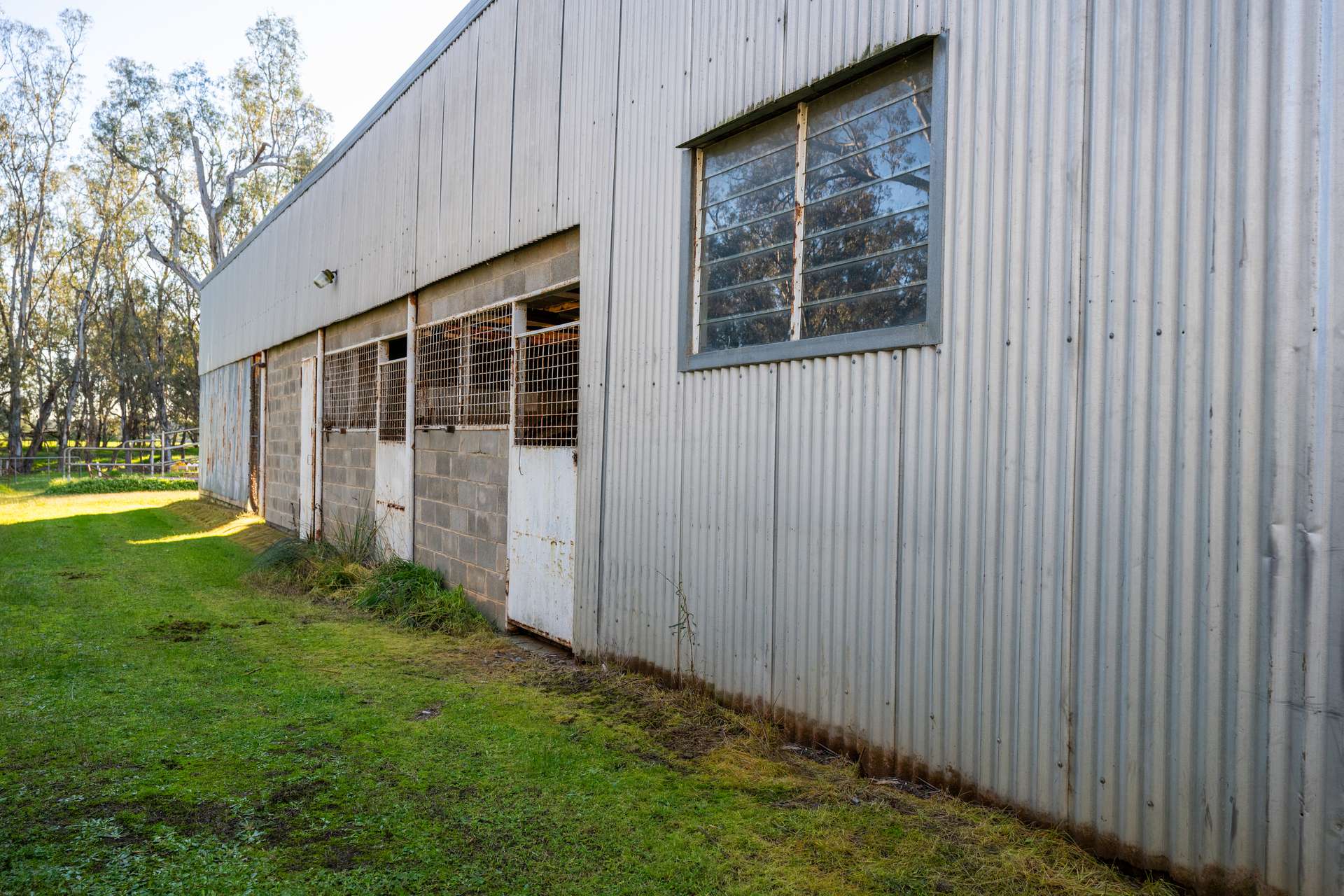 437 Webb Road, Goomalibee For Sale by Farmbuy.com - image 7