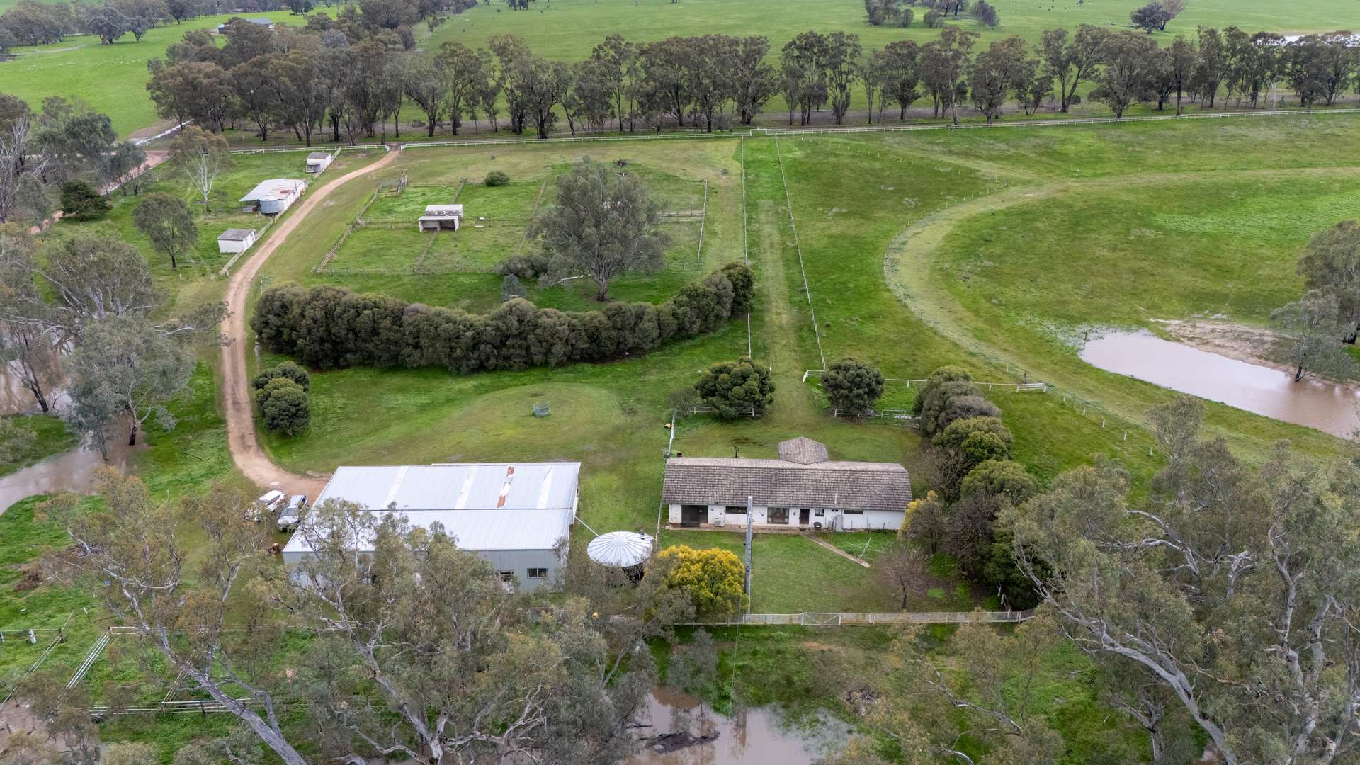 437 Webb Road, Goomalibee For Sale by Farmbuy.com - image 3