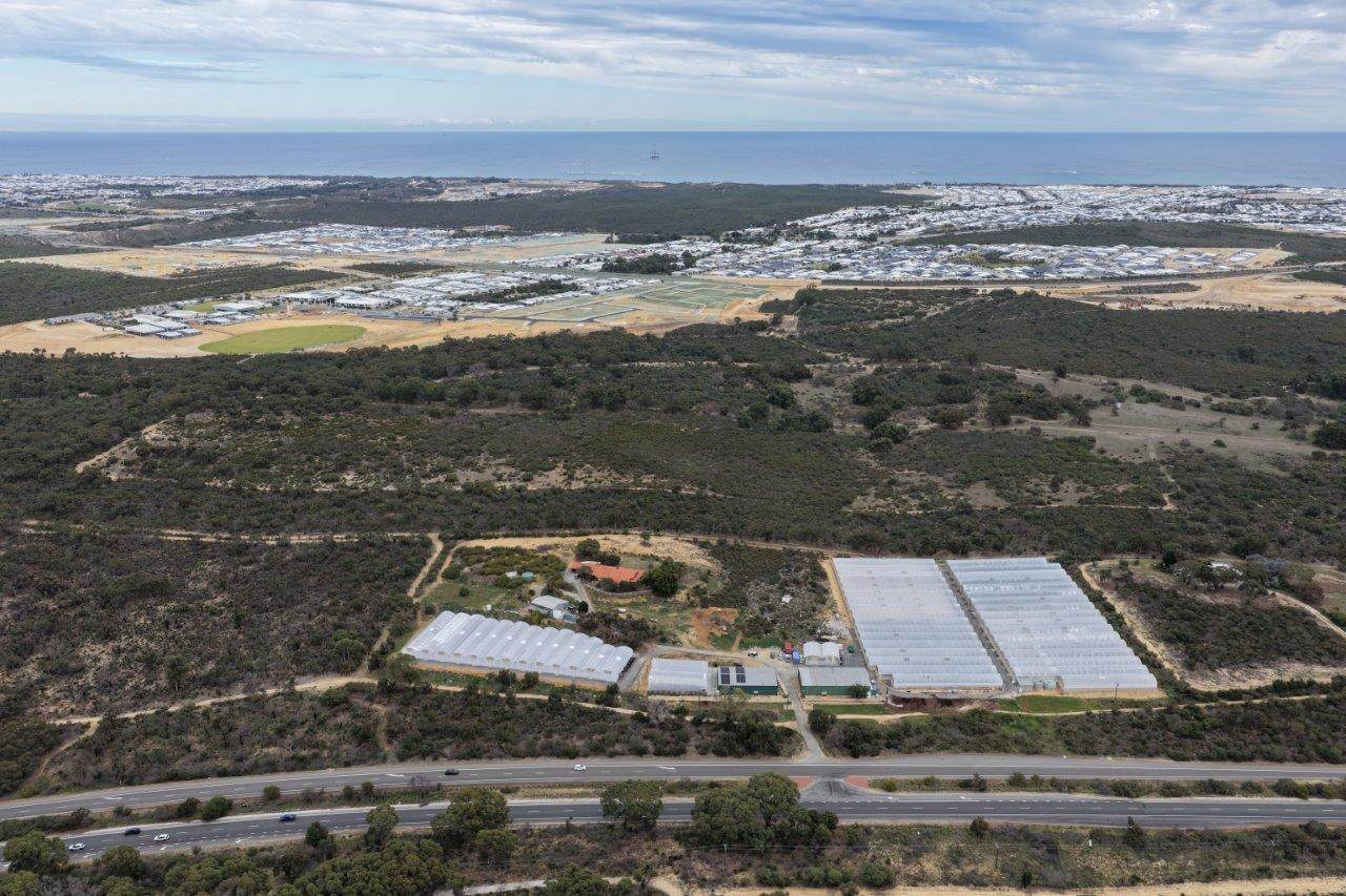 3049 Wanneroo Road, Carabooda For Sale by Farmbuy.com - image 4