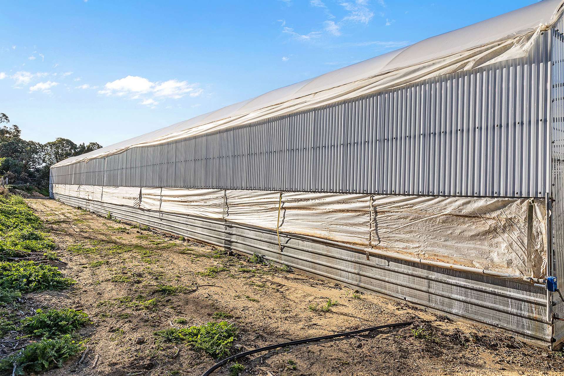 3049 Wanneroo Road, Carabooda For Sale by Farmbuy.com - image 12