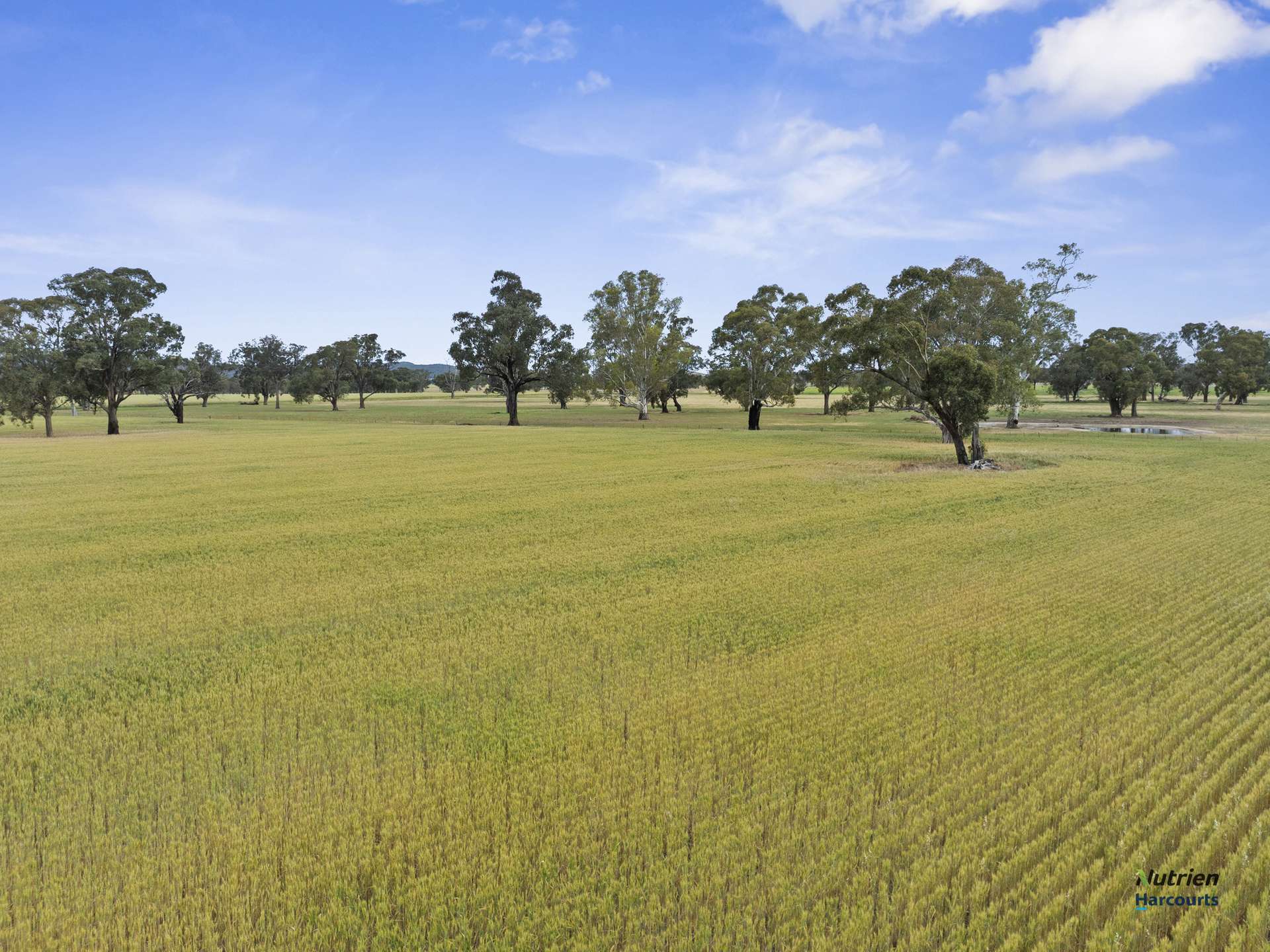 CA 34D, 34J Cnr Bungeet Rd & OShannassy Rd, Thoona For Sale by Farmbuy.com - image 8