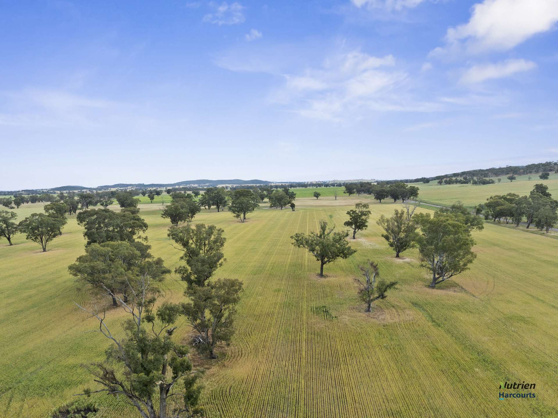 CA 34D, 34J Cnr Bungeet Rd & OShannassy Rd, Thoona For Sale by Farmbuy.com - image 9