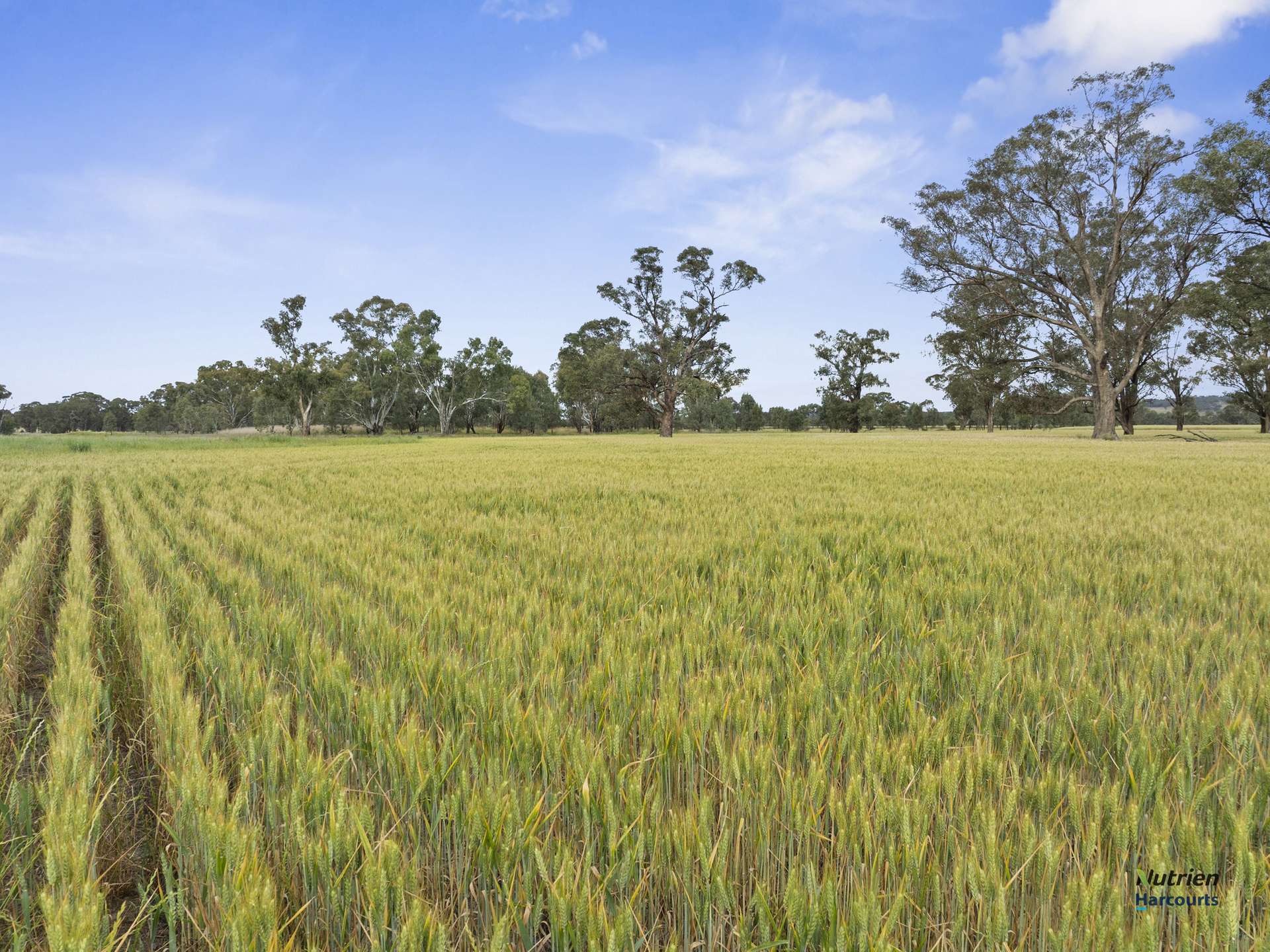 CA 34D, 34J Cnr Bungeet Rd & OShannassy Rd, Thoona For Sale by Farmbuy.com - image 5