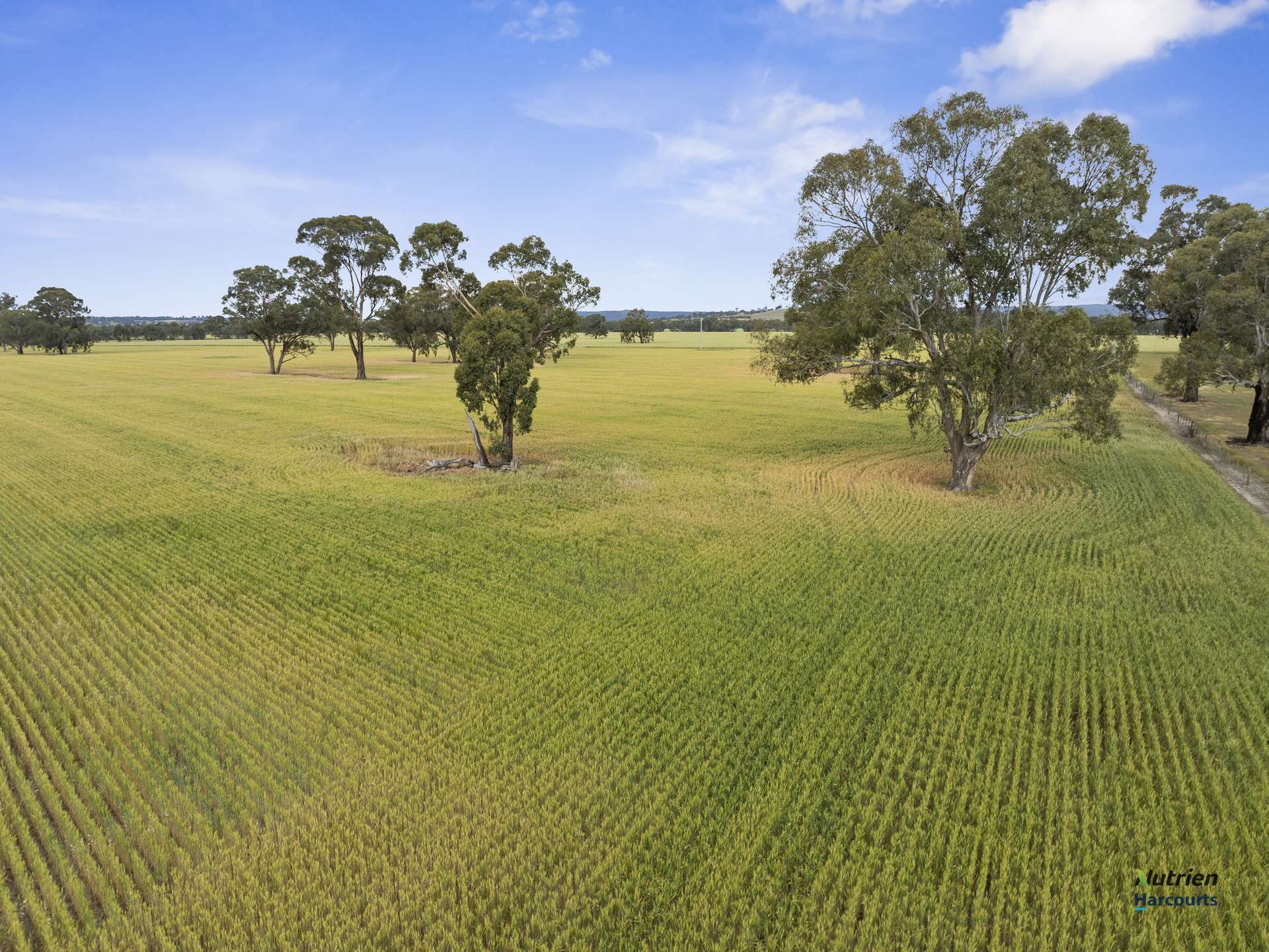 CA 34D, 34J Cnr Bungeet Rd & OShannassy Rd, Thoona For Sale by Farmbuy.com - image 6