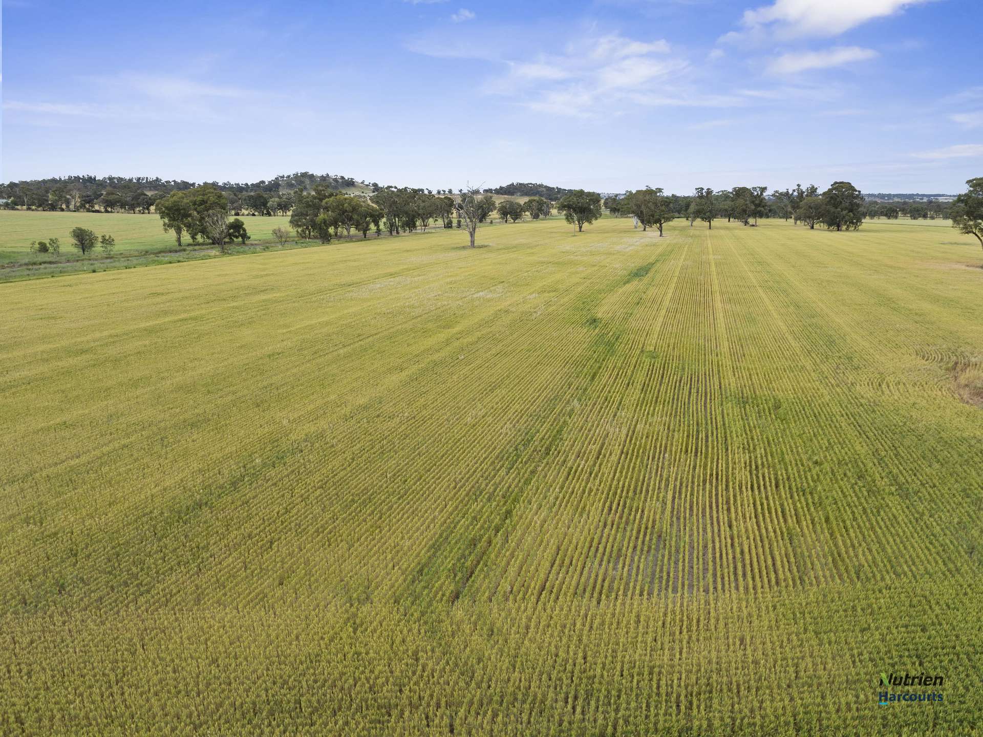 CA 34D, 34J Cnr Bungeet Rd & OShannassy Rd, Thoona For Sale by Farmbuy.com - image 11