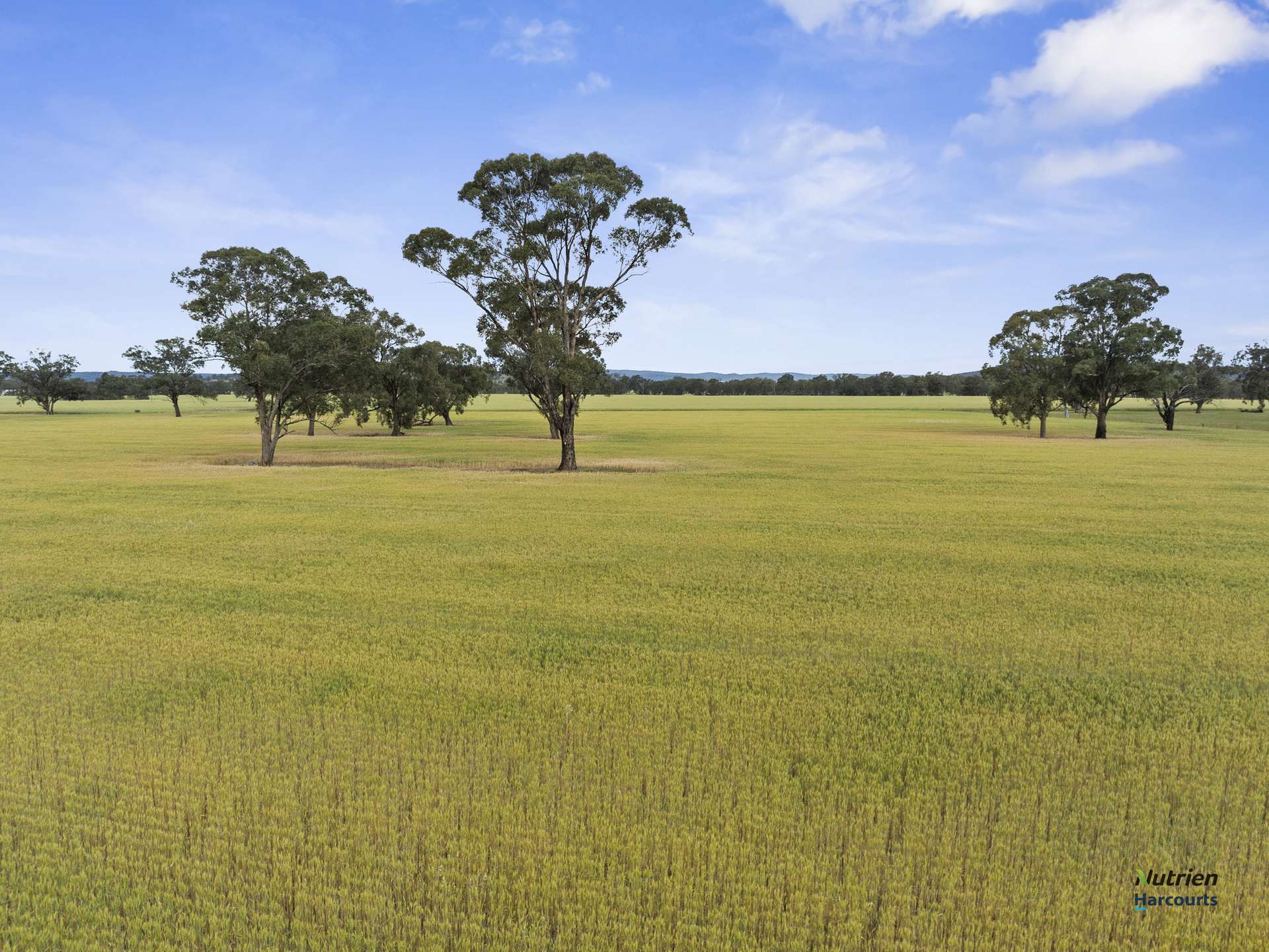 CA 34D, 34J Cnr Bungeet Rd & OShannassy Rd, Thoona For Sale by Farmbuy.com - image 7