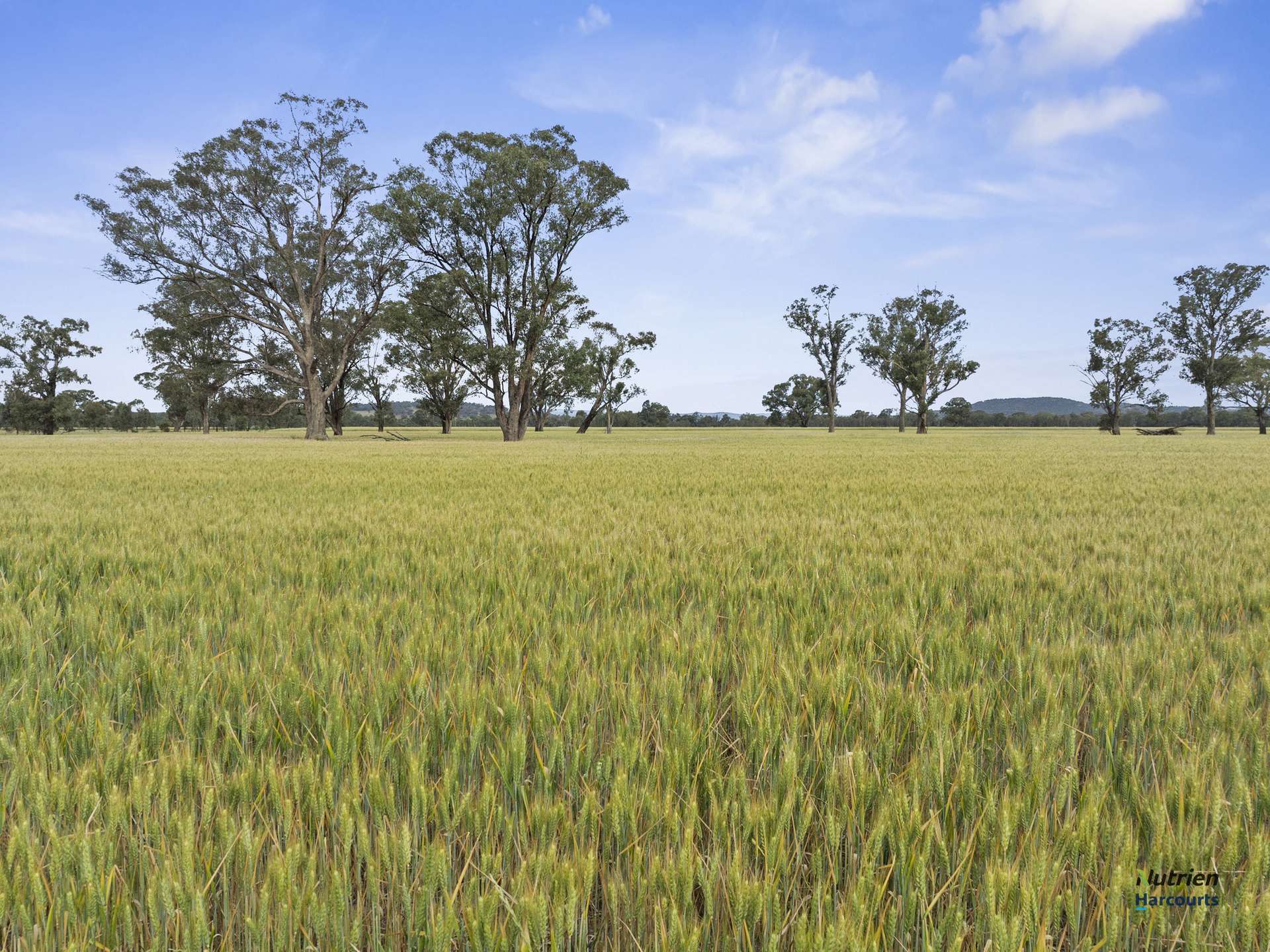 CA 34D, 34J Cnr Bungeet Rd & OShannassy Rd, Thoona For Sale by Farmbuy.com - image 10