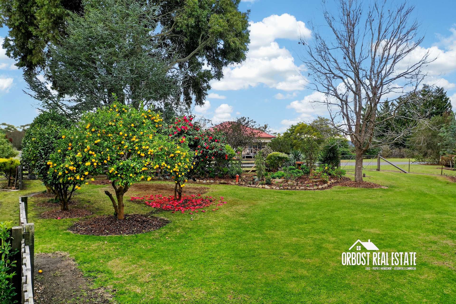 18 Mclaughlins Road, Newmerella For Sale by Farmbuy.com - image 22