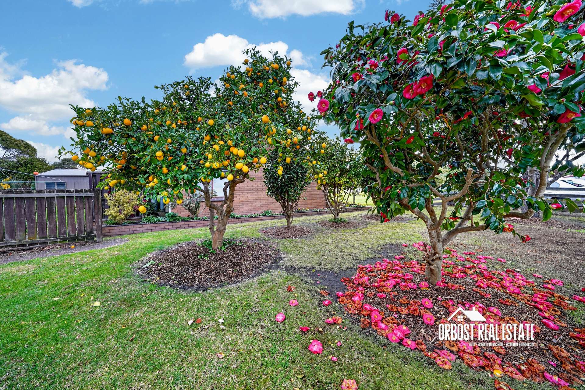 18 Mclaughlins Road, Newmerella For Sale by Farmbuy.com - image 23
