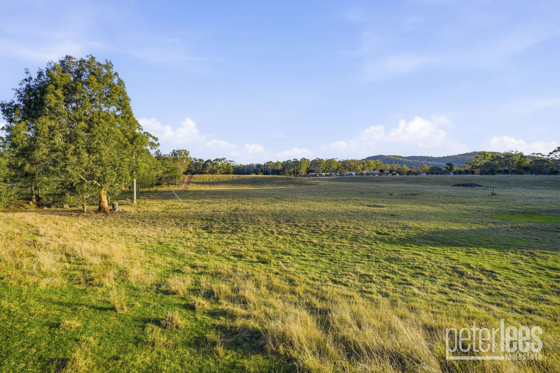 265 Medeas Cove Road, St Helens For Sale by Farmbuy.com - image 22