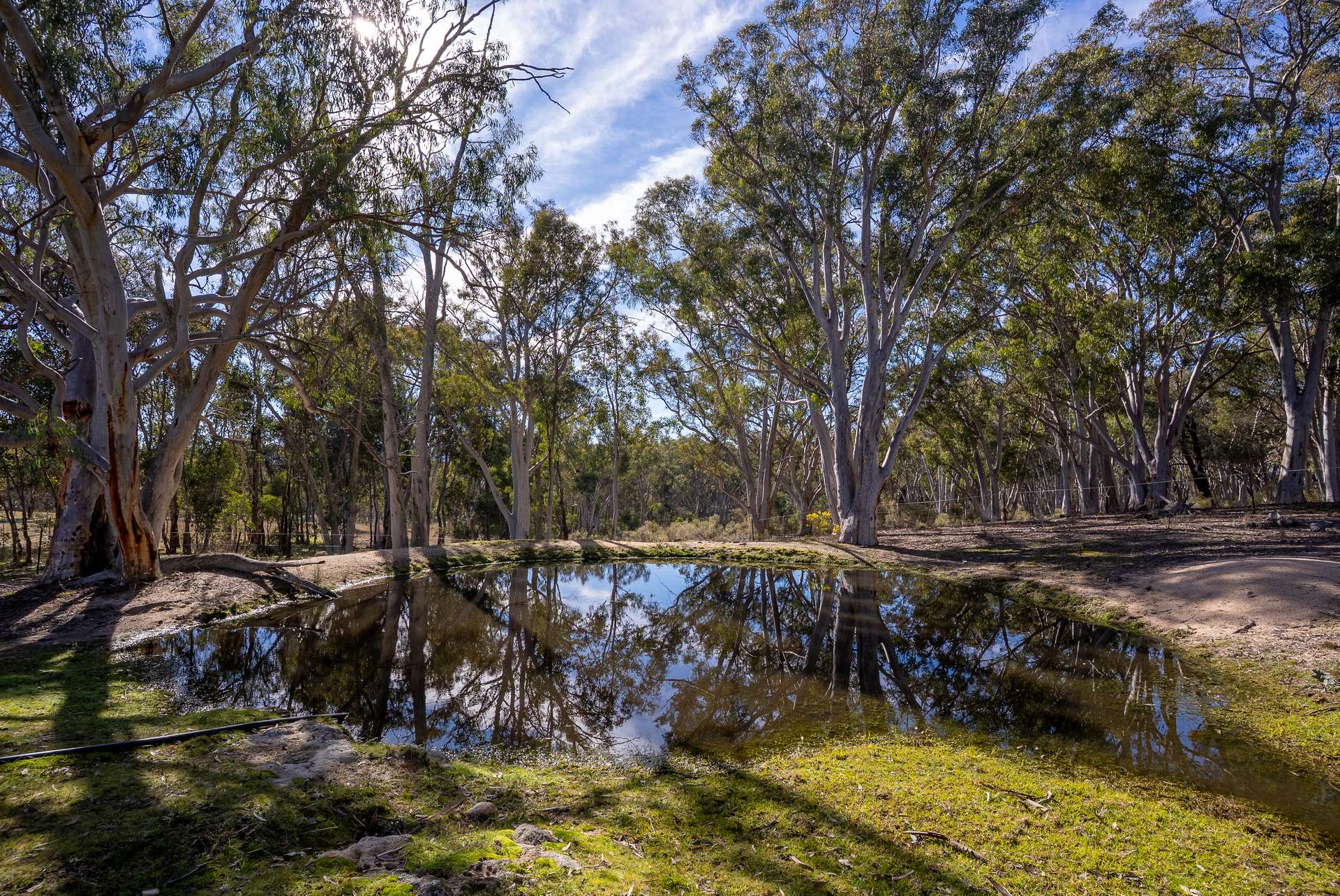 1271 Carlwood Road, O'Connell Auction by Farmbuy.com - image 27