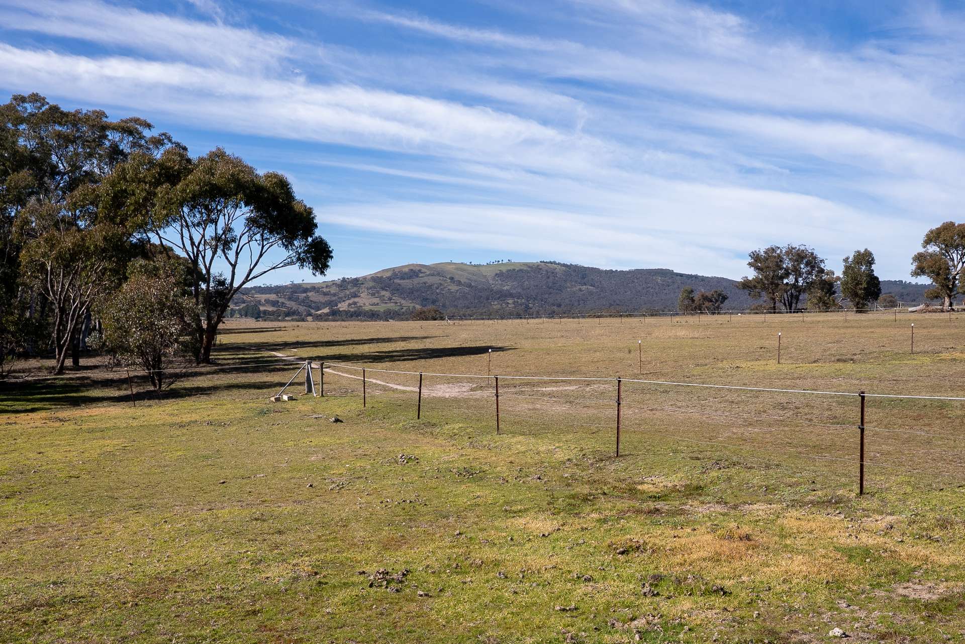 1271 Carlwood Road, O'Connell Auction by Farmbuy.com - image 28