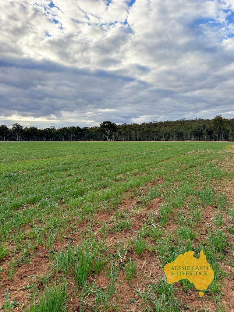 . Cnr Lanigan Road & East Nanango Grindstone Road, Glan Devon For Sale by Farmbuy.com - image 9