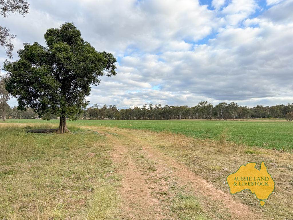 . Cnr Lanigan Road & East Nanango Grindstone Road, Glan Devon For Sale by Farmbuy.com - image 26