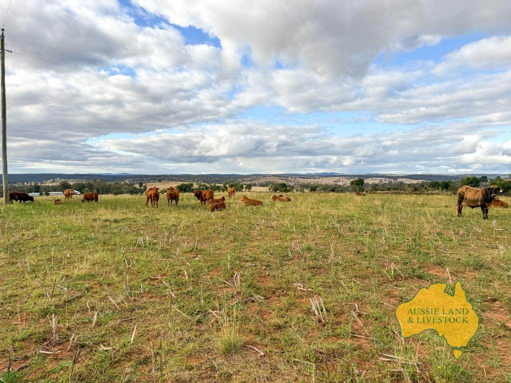 . Cnr Lanigan Road & East Nanango Grindstone Road, Glan Devon For Sale by Farmbuy.com - image 24