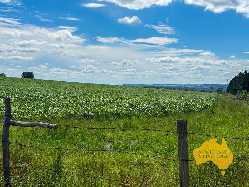 . Cnr Lanigan Road & East Nanango Grindstone Road, Glan Devon For Sale by Farmbuy.com - image 4
