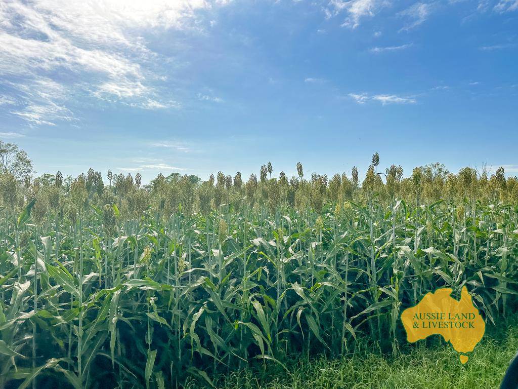 . Cnr Lanigan Road & East Nanango Grindstone Road, Glan Devon For Sale by Farmbuy.com - image 5